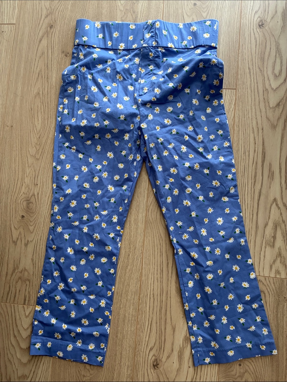 Zara Blue Cropped Daisy Print Pants